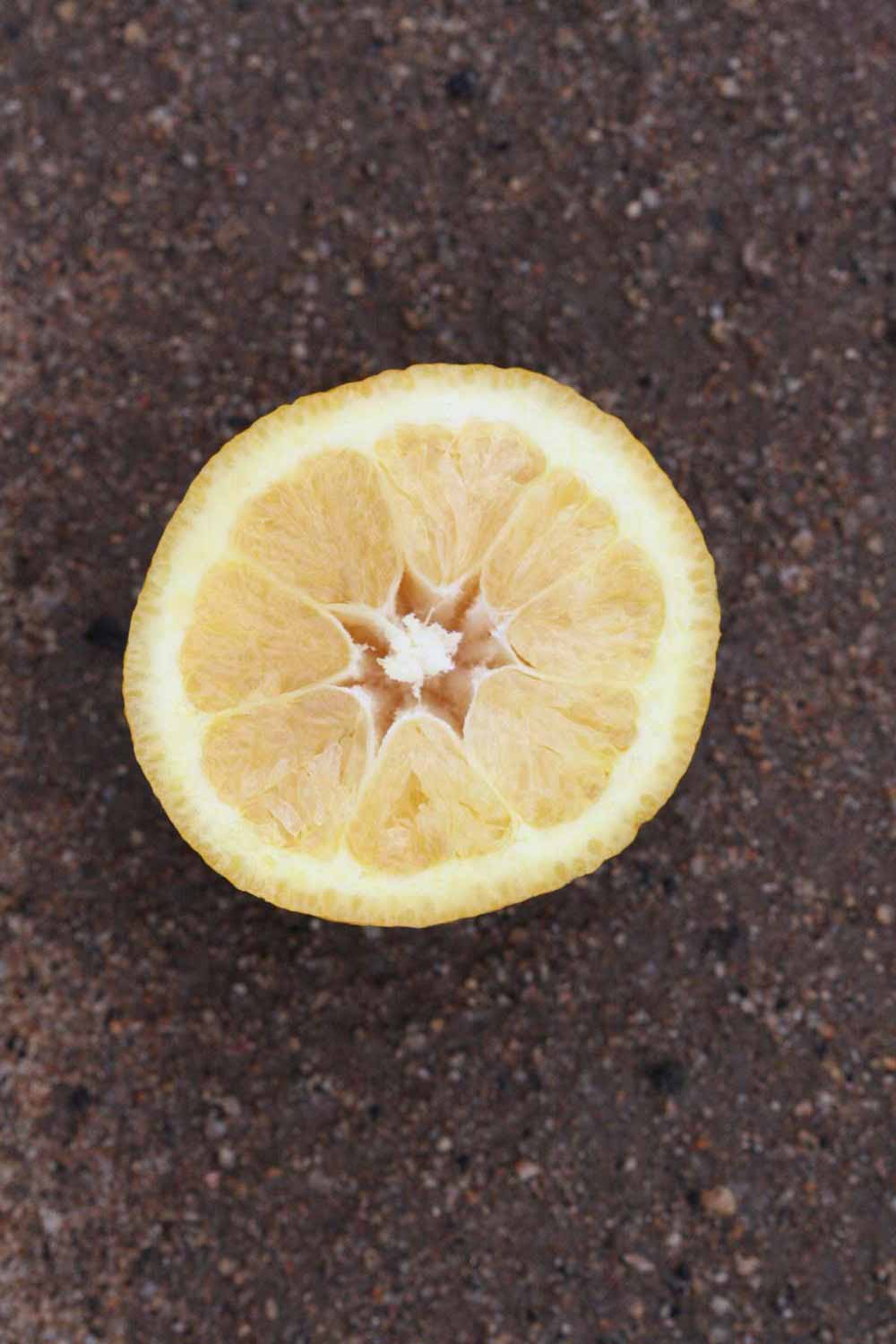              Fruit cross-section (Riverside, CA)       